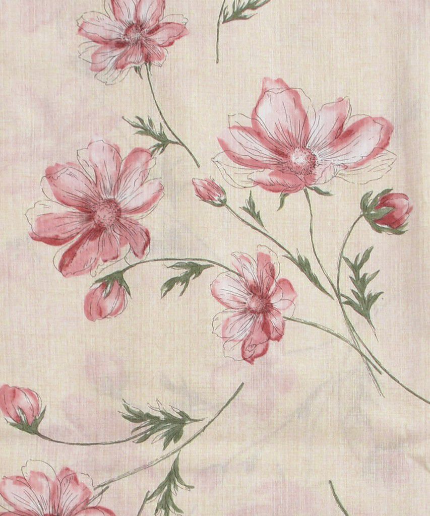 はんなり木春菊 | Dita（ディータ）オフィシャルストア