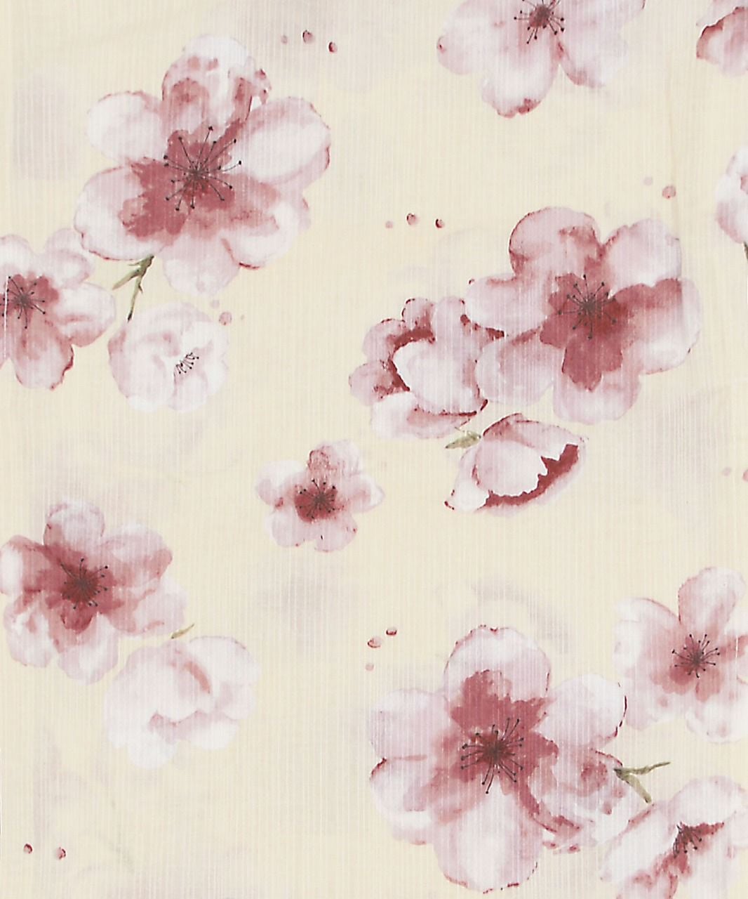 桜花の咲きうらら | Dita（ディータ）オフィシャルストア