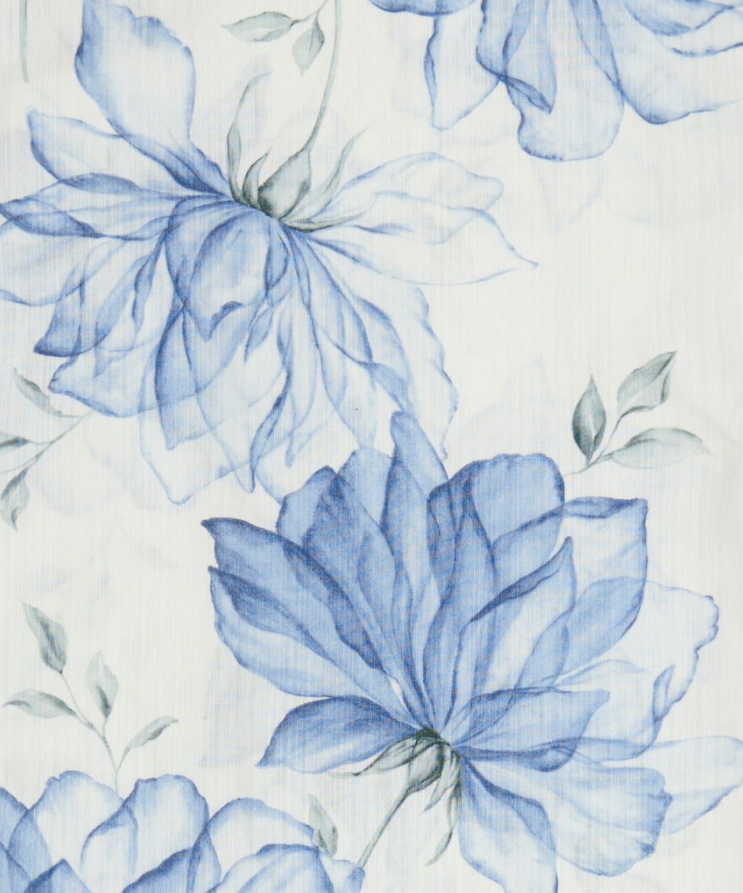 そそぐ白藍花 | Dita（ディータ）オフィシャルストア