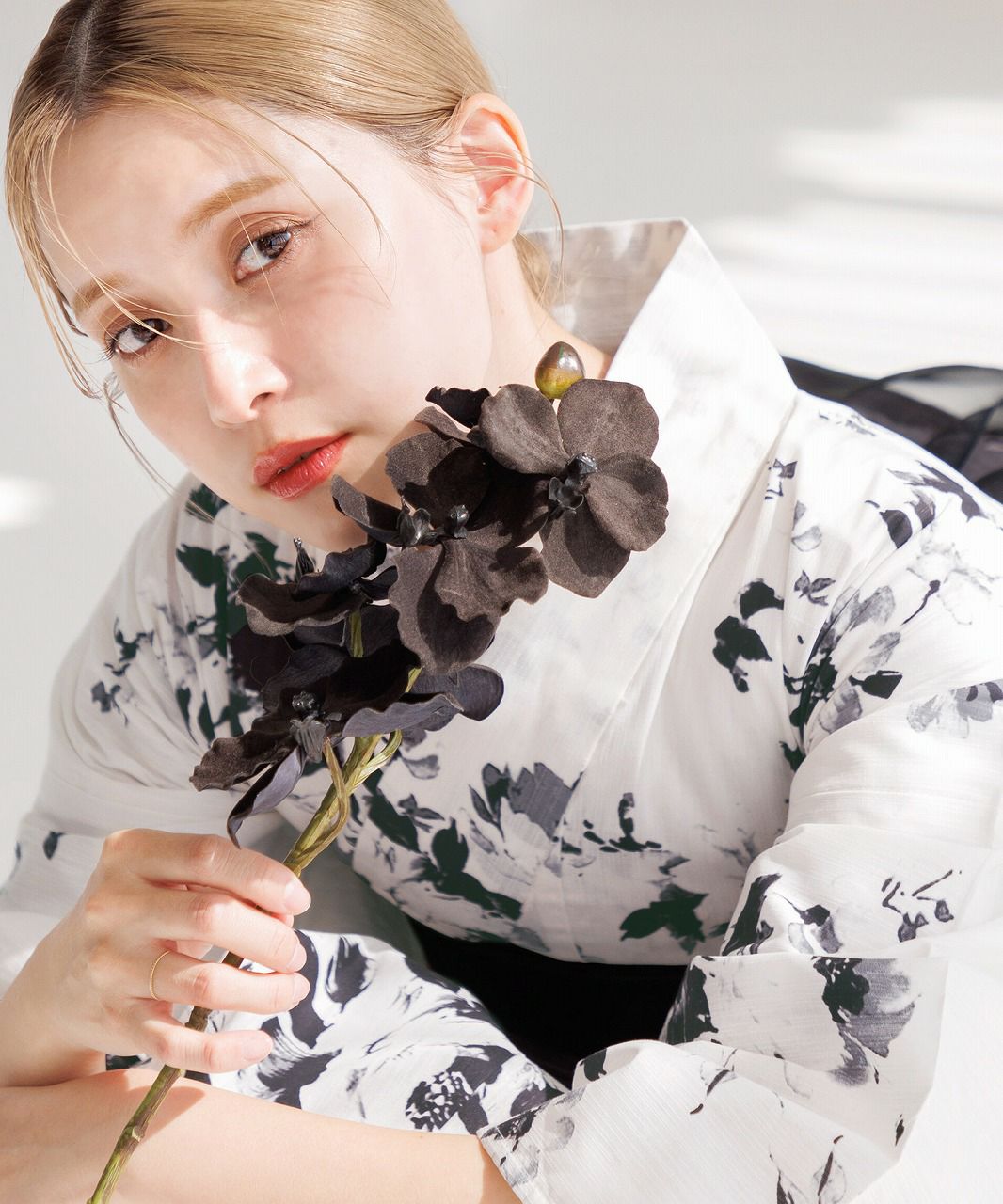 水彩の宵 | Dita（ディータ）オフィシャルストア